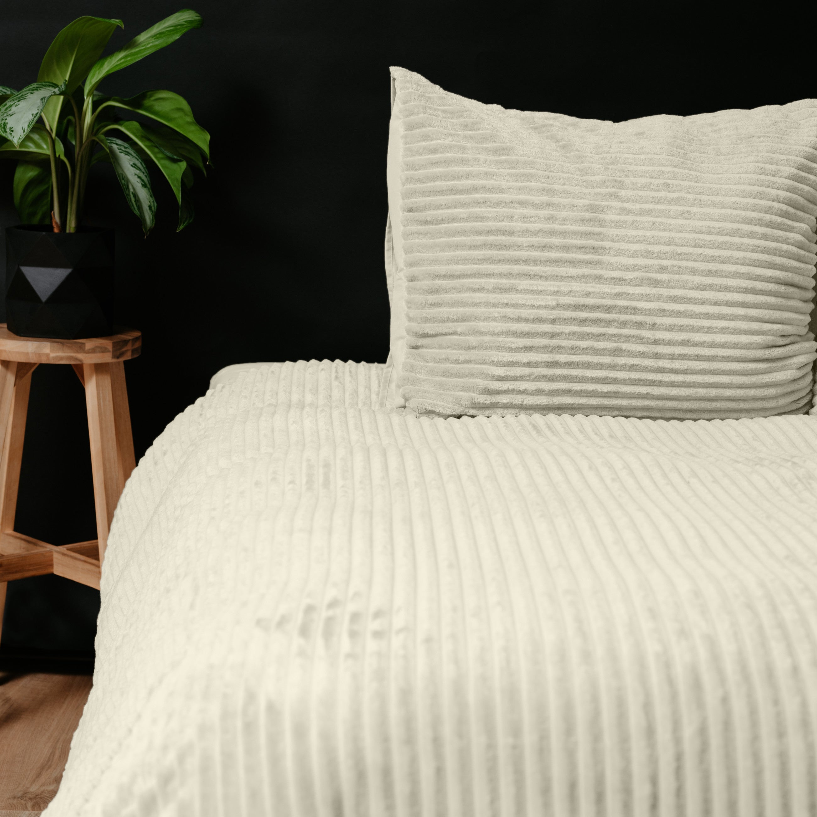 Rib Teddy Beige