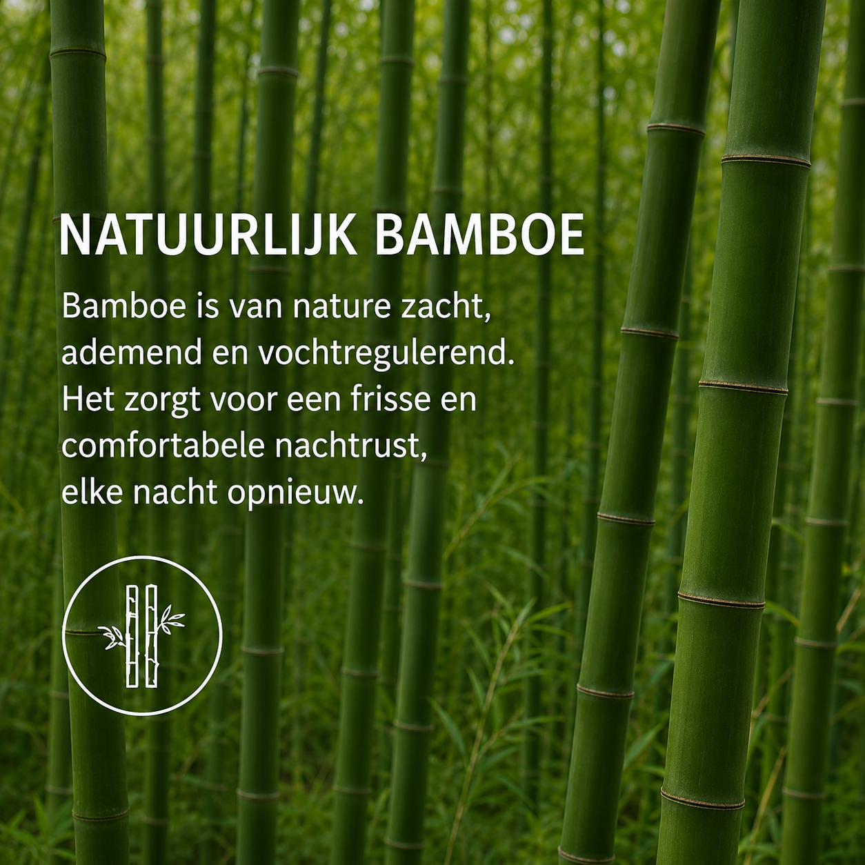 Zomerdekbed Bamboe – Bali Bamboo Touch | Ademend & Vochtregulerend