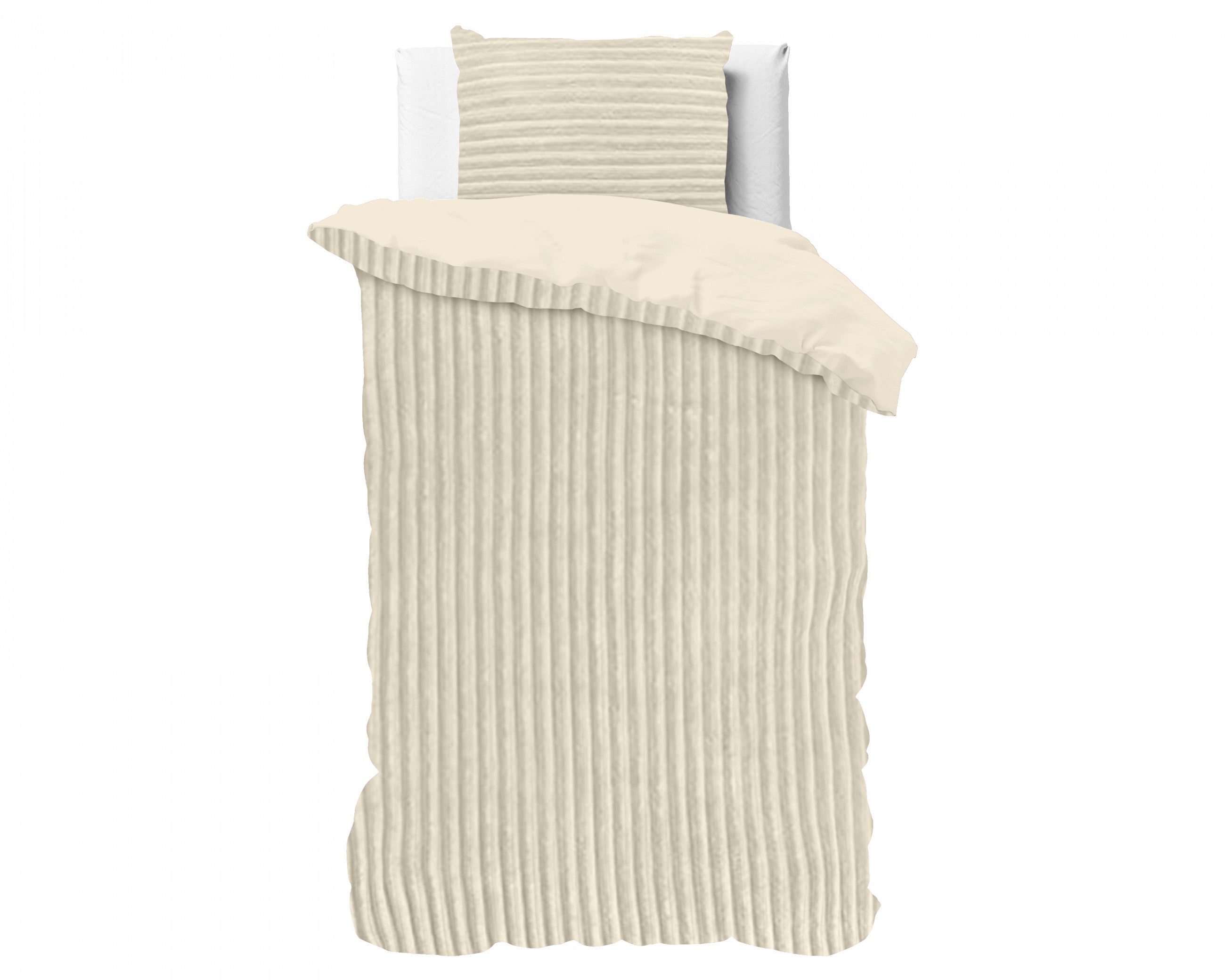 Rib Teddy Beige