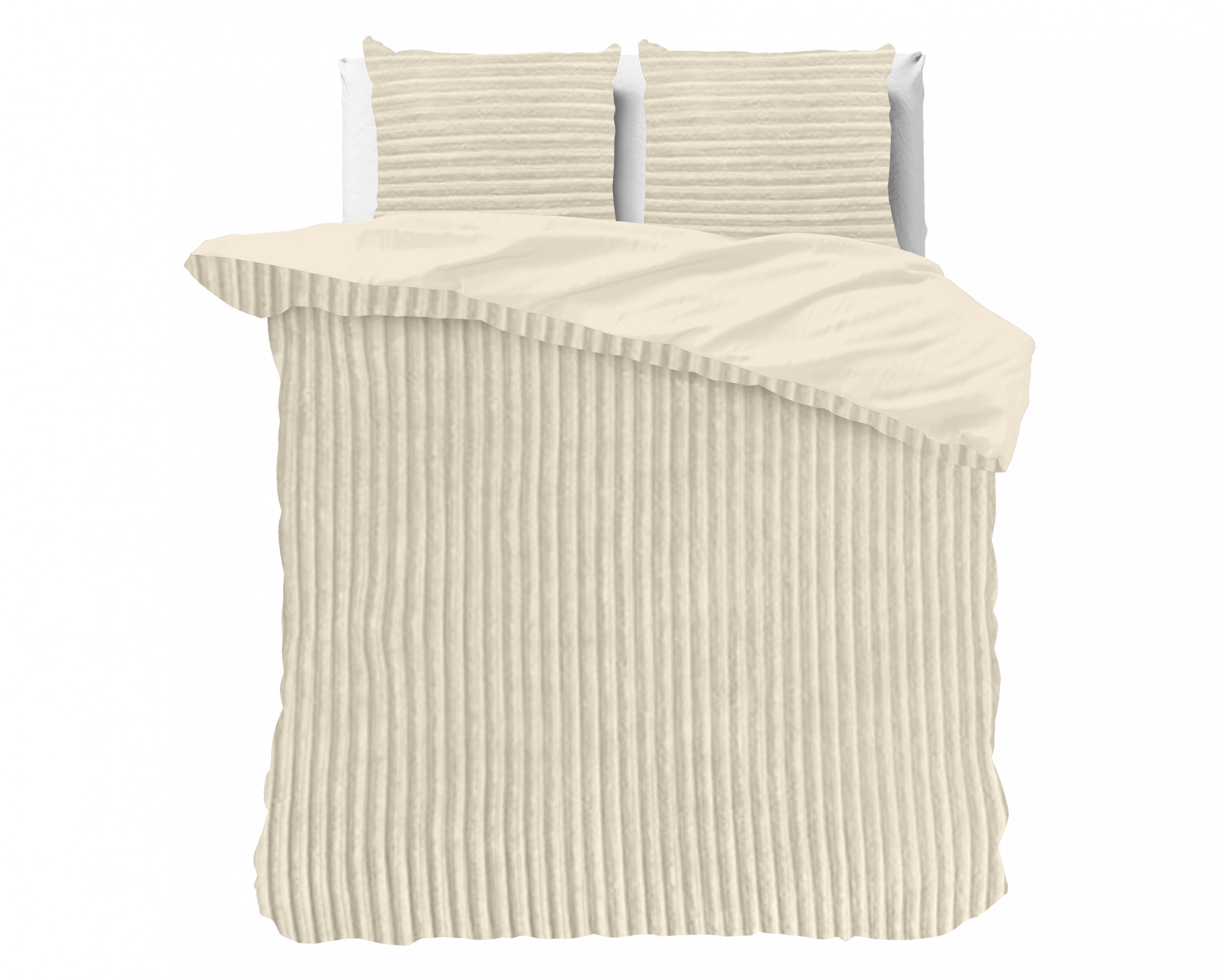 Rib Teddy Beige